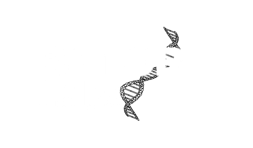B - Labs