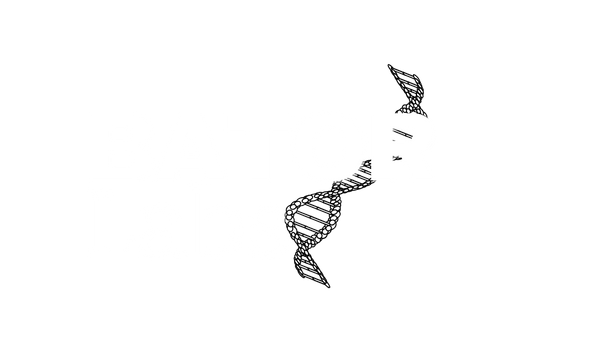 B - Labs